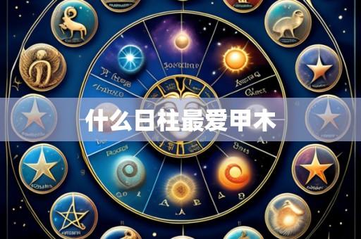 什么日柱最爱甲木