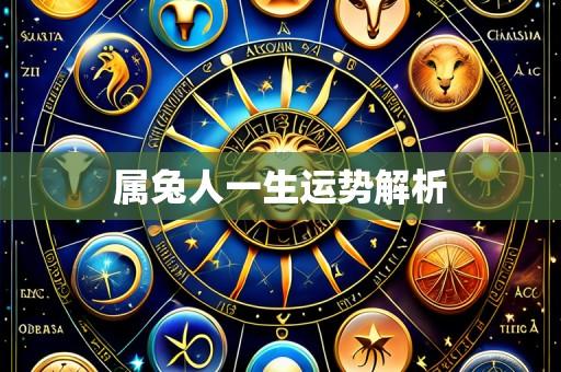 属兔人一生运势解析