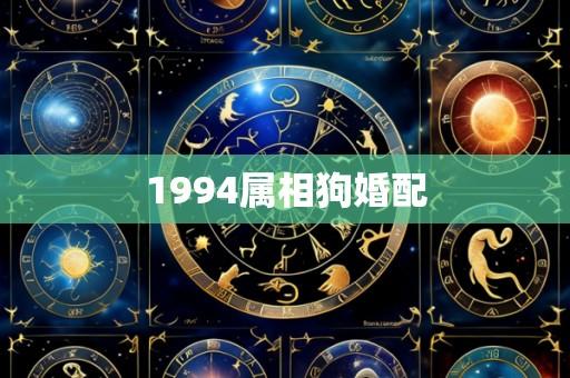 1994属相狗婚配
