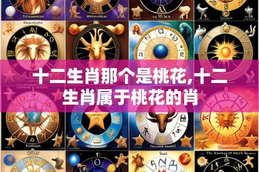 十二生肖那个是桃花,十二生肖属于桃花的肖