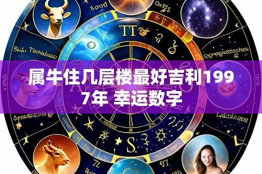 属牛住几层楼最好吉利1997年 幸运数字