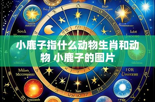 小鹿子指什么动物生肖和动物 小鹿子的图片
