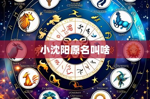 小沈阳原名叫啥