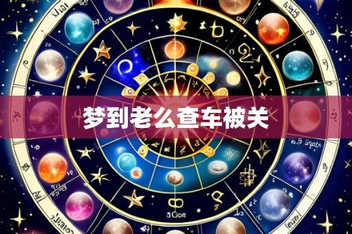 梦到老么查车被关