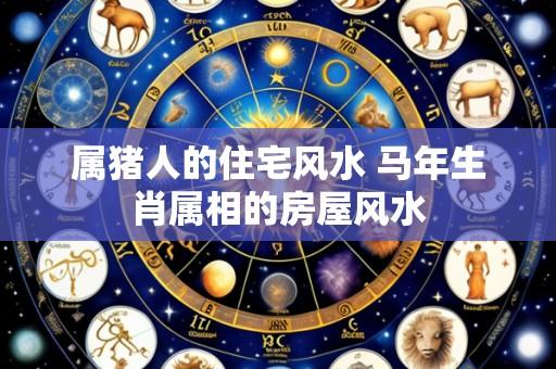属猪人的住宅风水 马年生肖属相的房屋风水