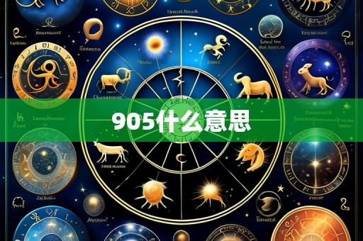 905什么意思