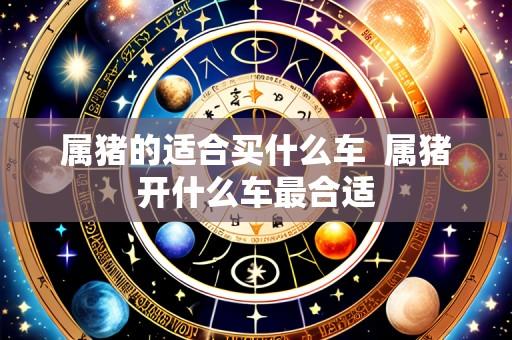 属猪的适合买什么车 属猪开什么车最合适