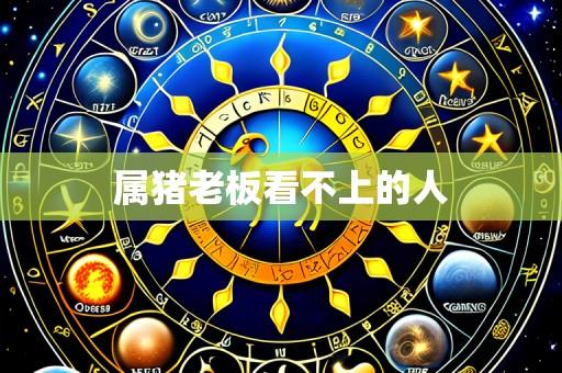 属猪老板看不上的人