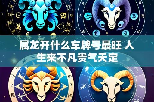 属龙开什么车牌号最旺 人生来不凡贵气天定