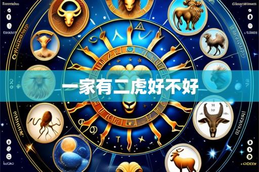 一家有二虎好不好