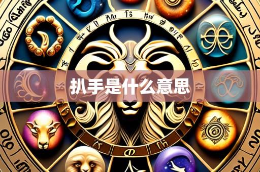 扒手是什么意思
