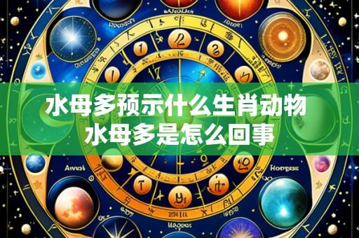 水母多预示什么生肖动物 水母多是怎么回事
