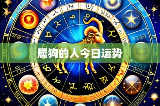 属狗的人今日运势