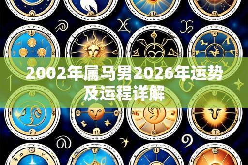 2002年属马男2026年运势及运程详解