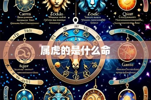 属虎的是什么命