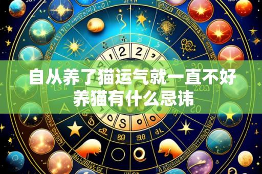 自从养了猫运气就一直不好 养猫有什么忌讳