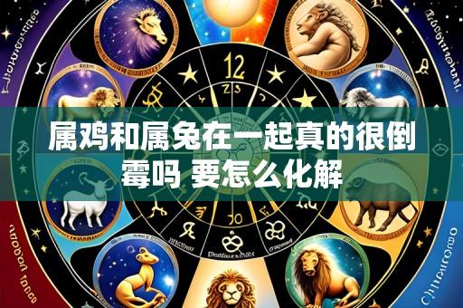 属鸡和属兔在一起真的很倒霉吗 要怎么化解