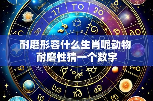 耐磨形容什么生肖呢动物 耐磨性猜一个数字