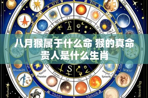 八月猴属于什么命 猴的真命贵人是什么生肖