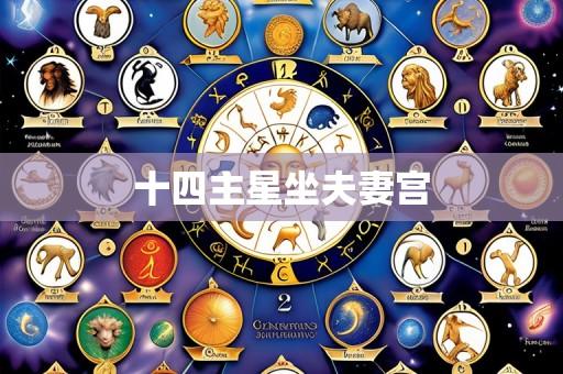 十四主星坐夫妻宫