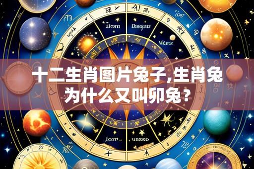 十二生肖图片兔子,生肖兔为什么又叫卯兔?