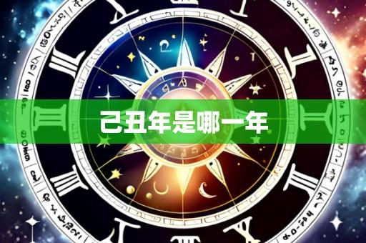 己丑年是哪一年