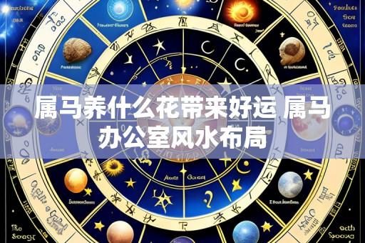 属马养什么花带来好运 属马办公室风水布局