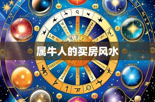 属牛人的买房风水