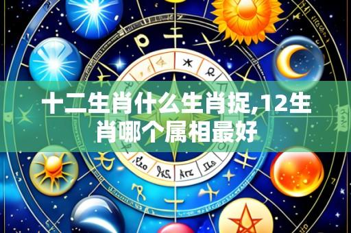 十二生肖什么生肖捉,12生肖哪个属相最好