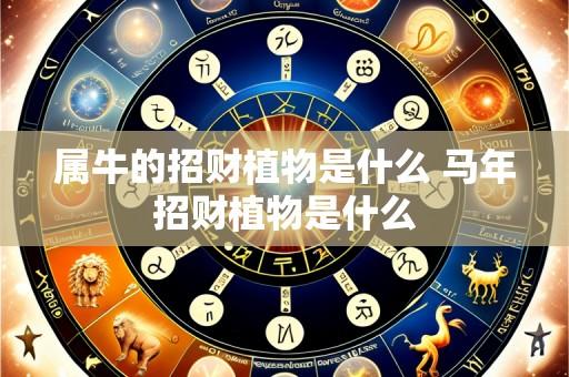 属牛的招财植物是什么 马年招财植物是什么