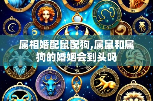 属相婚配鼠配狗,属鼠和属狗的婚姻会到头吗