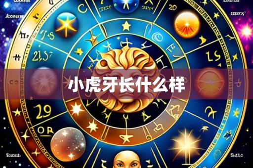 小虎牙长什么样