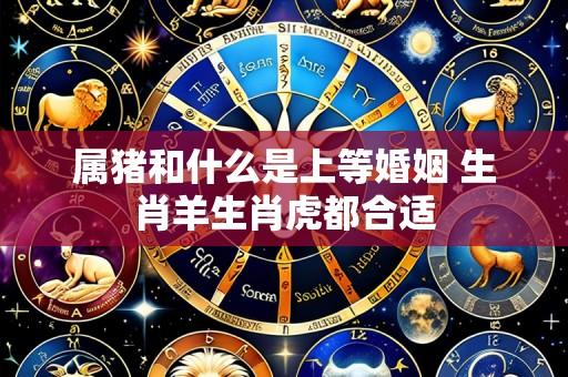 属猪和什么是上等婚姻 生肖羊生肖虎都合适