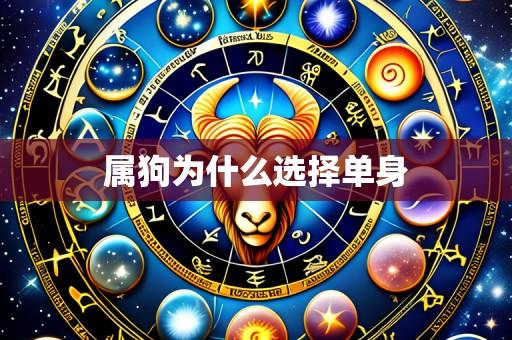 属狗为什么选择单身