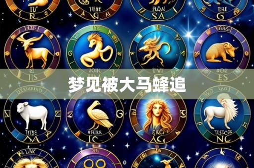 梦见被大马蜂追