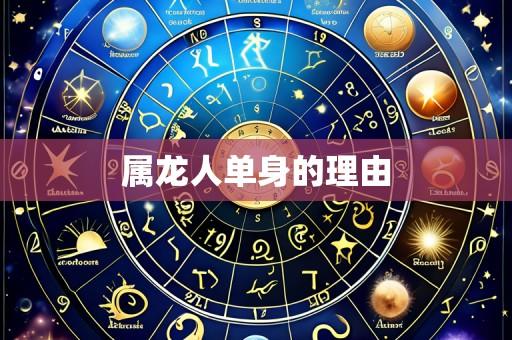 属龙人单身的理由