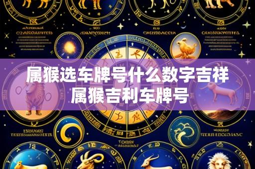 属猴选车牌号什么数字吉祥 属猴吉利车牌号