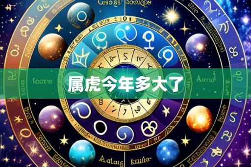 属虎今年多大了