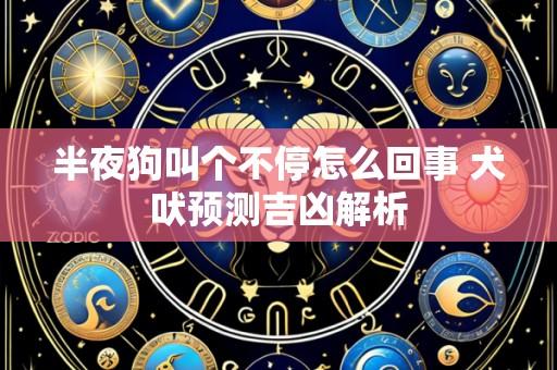 半夜狗叫个不停怎么回事 犬吠预测吉凶解析