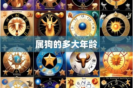属狗的多大年龄