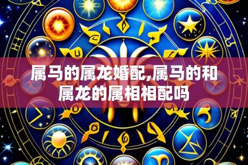 属马的属龙婚配,属马的和属龙的属相相配吗