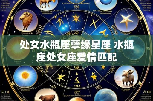 处女水瓶座孽缘星座 水瓶座处女座爱情匹配