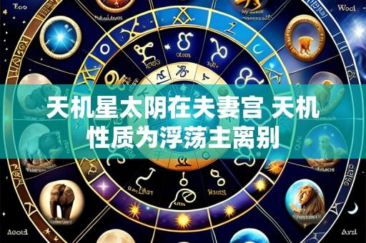 天机星太阴在夫妻宫 天机性质为浮荡主离别