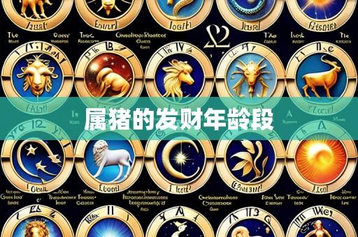 属猪的发财年龄段