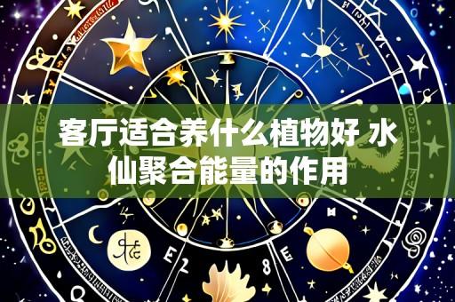 客厅适合养什么植物好 水仙聚合能量的作用
