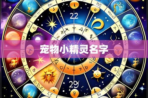 宠物小精灵名字