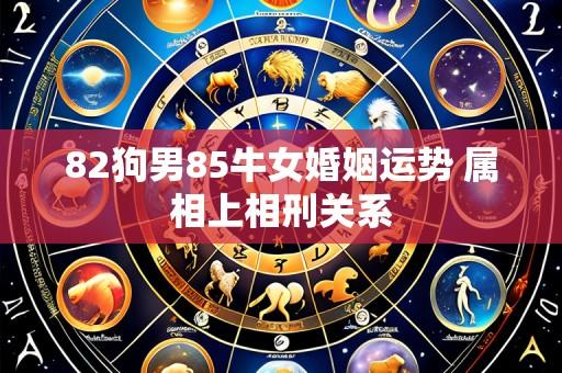 82狗男85牛女婚姻运势 属相上相刑关系