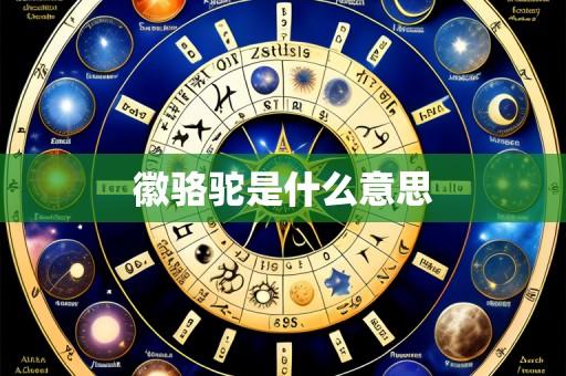 徽骆驼是什么意思