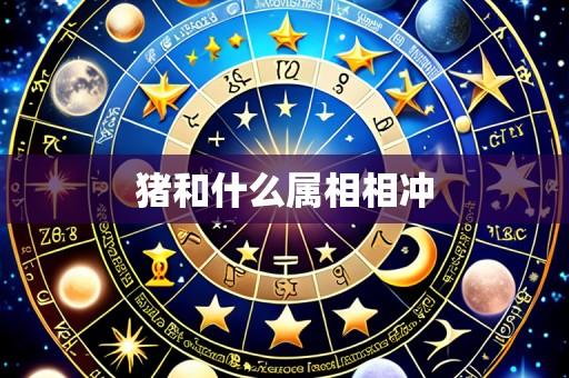 猪和什么属相相冲