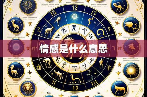 情感是什么意思